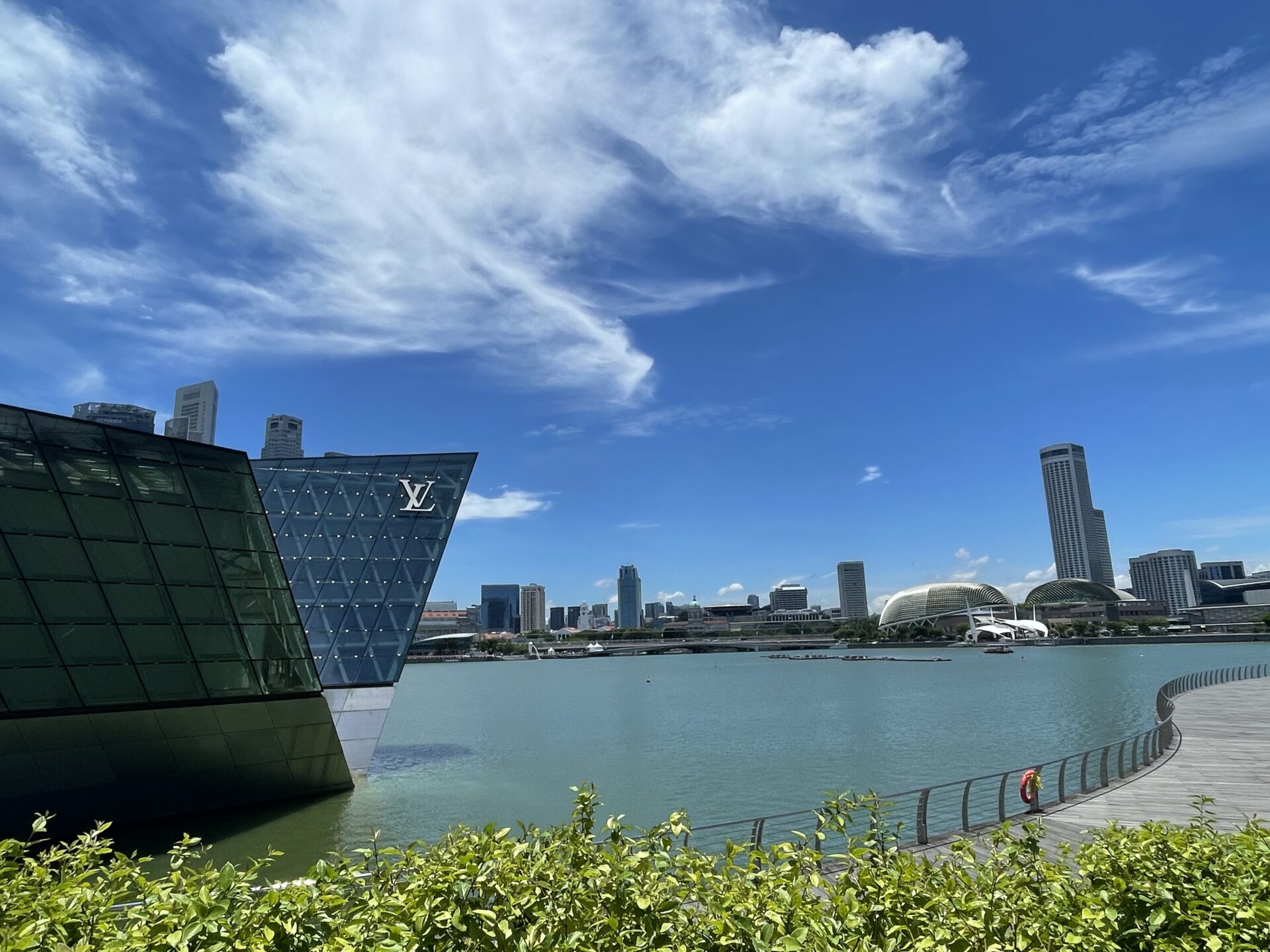 LoebSmith Team Album Image