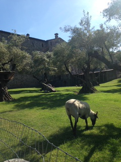 LoebSmith Team Album Image